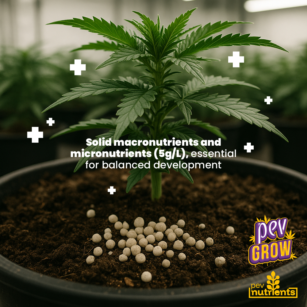 Terra Autoflower Pev Nutrients